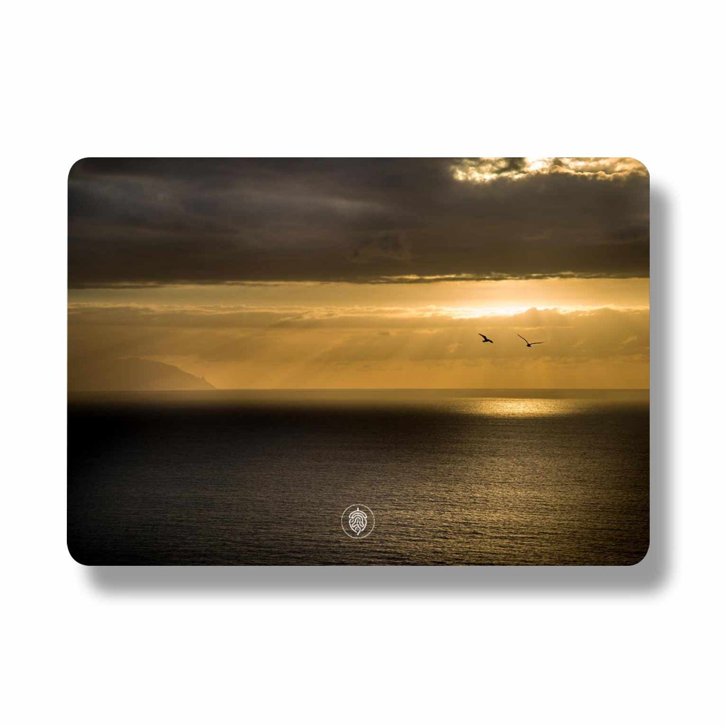 First Light - Pack of 10 Postcards