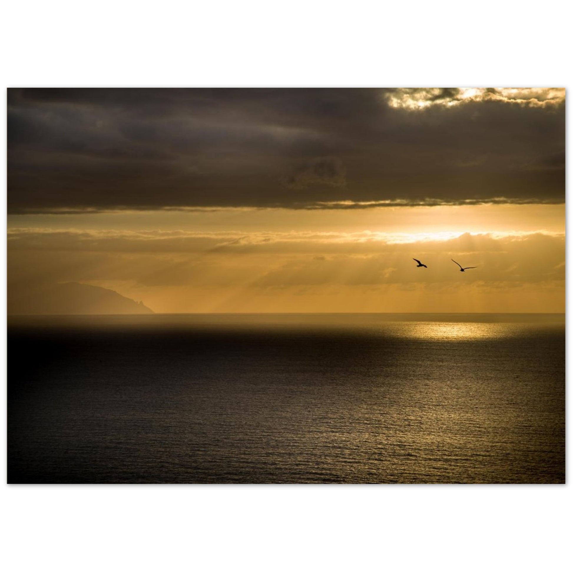743f342c-d620-4bc8-9024-8a053ede2897