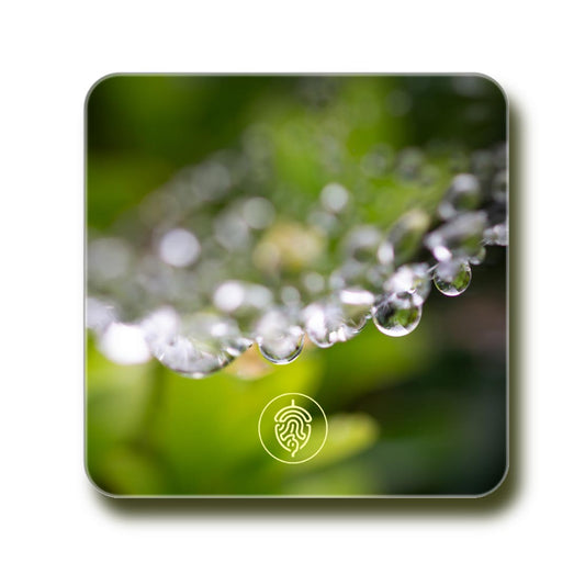 Coaster - Nature's Necklace