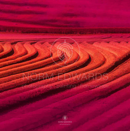 Ploughed Field