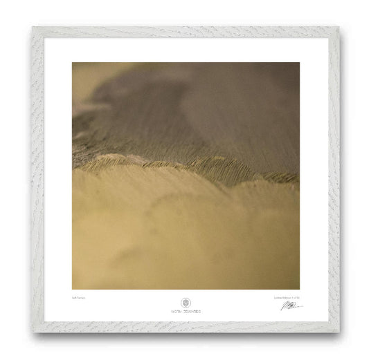 Soft Terrain - Ltd Edition of 50 Prints