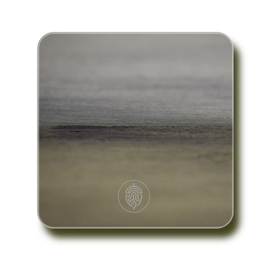 Coaster - Whispers on the Horizon