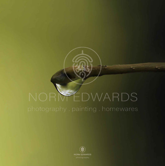 Droplet