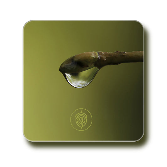 Coaster - Droplet