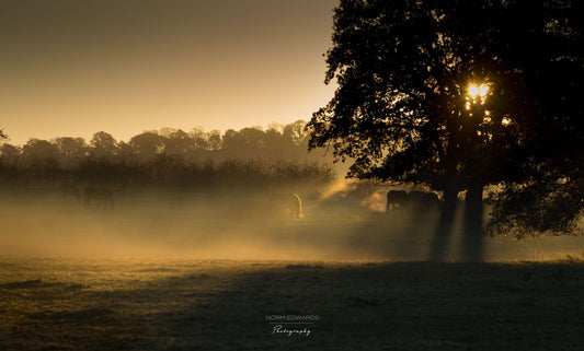 Chasing the Light: The Best Time of Day to Take a Photograph.