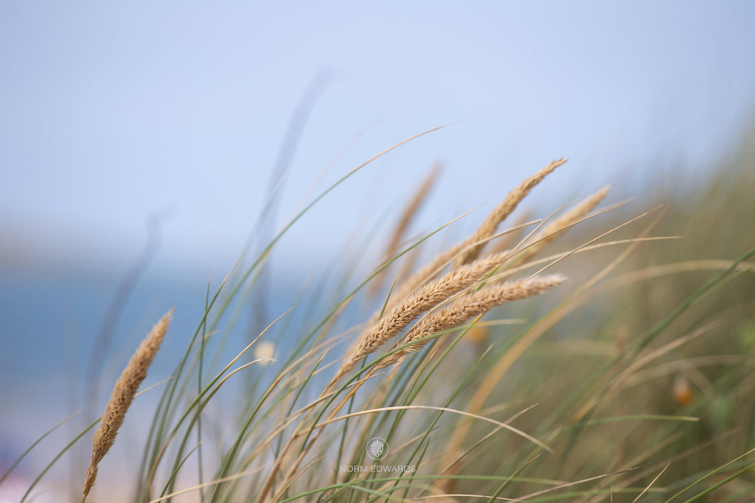 Discovering Newborough Beach, Anglesey