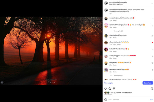 Sunset through the trees on a cold winter morning in Cheshire