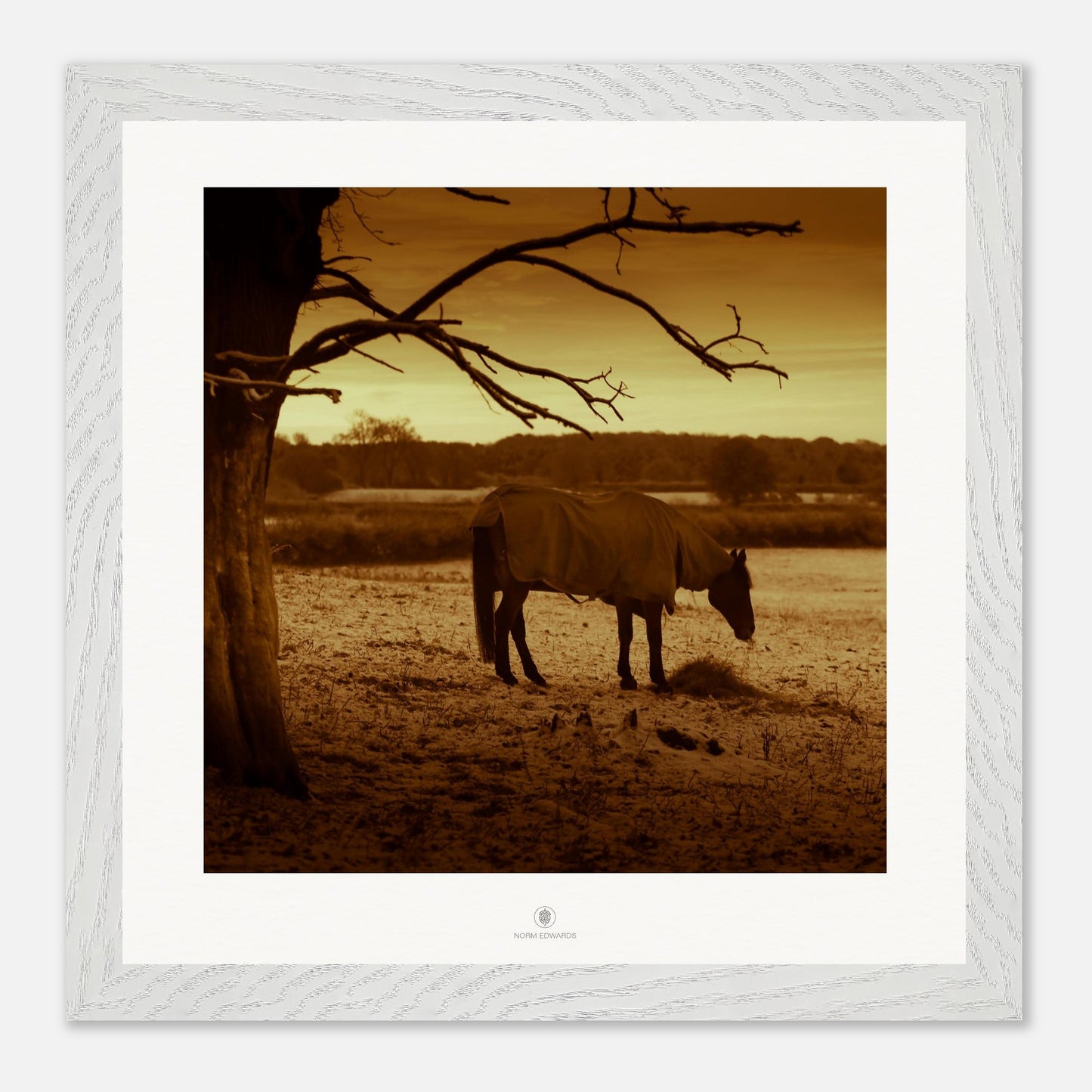 0377de31-61a9-471e-a576-d5102a4a9d4c