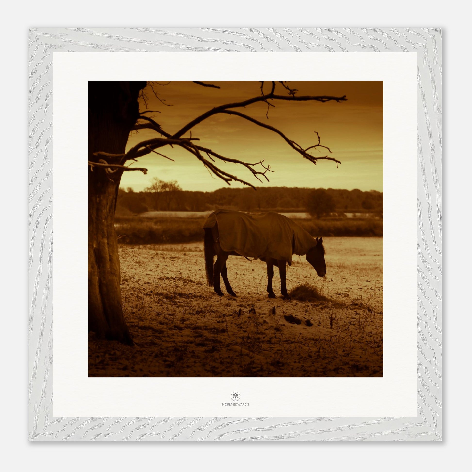 0377de31-61a9-471e-a576-d5102a4a9d4c