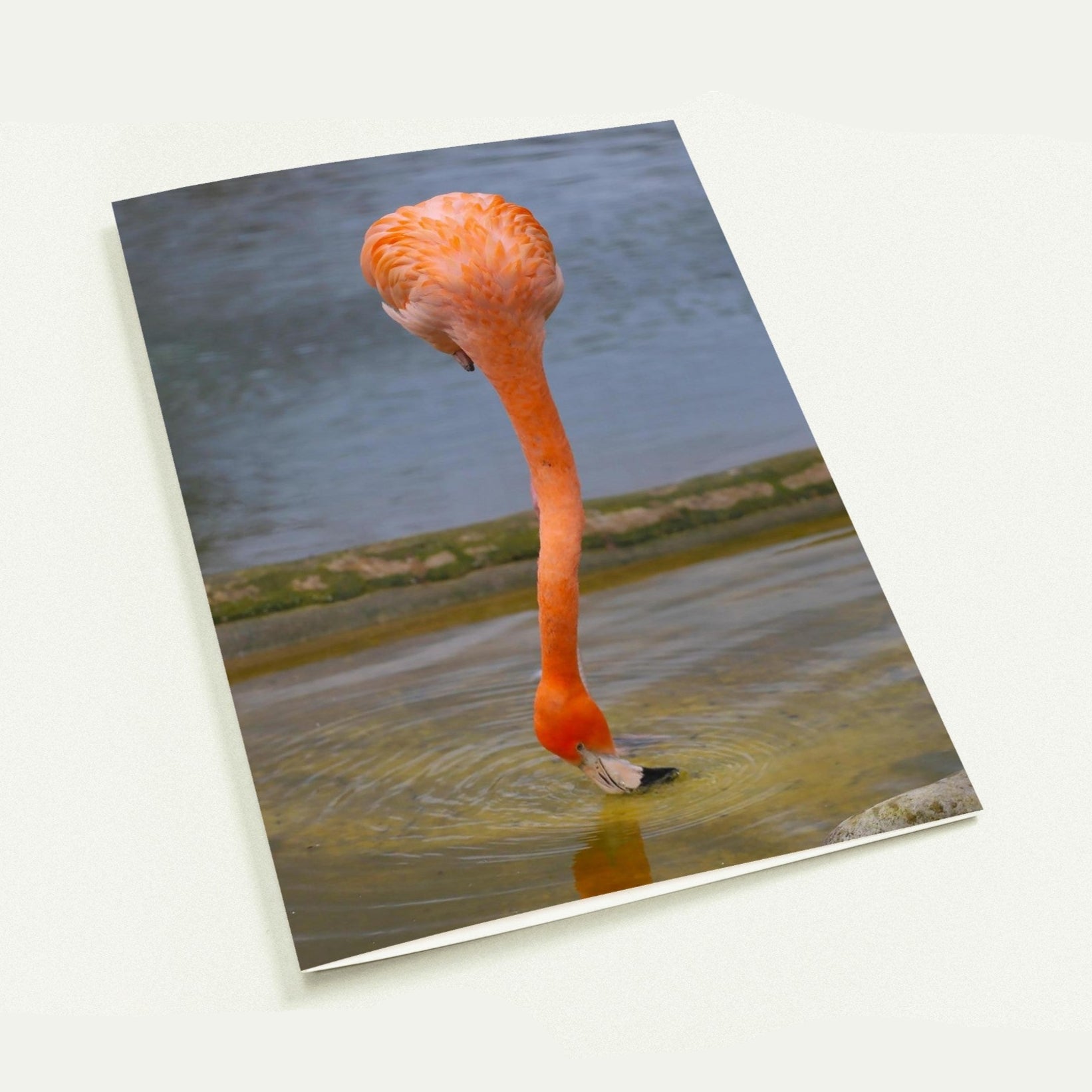 0f2b5c39-c3a4-4c7e-843f-3017d0d63a49