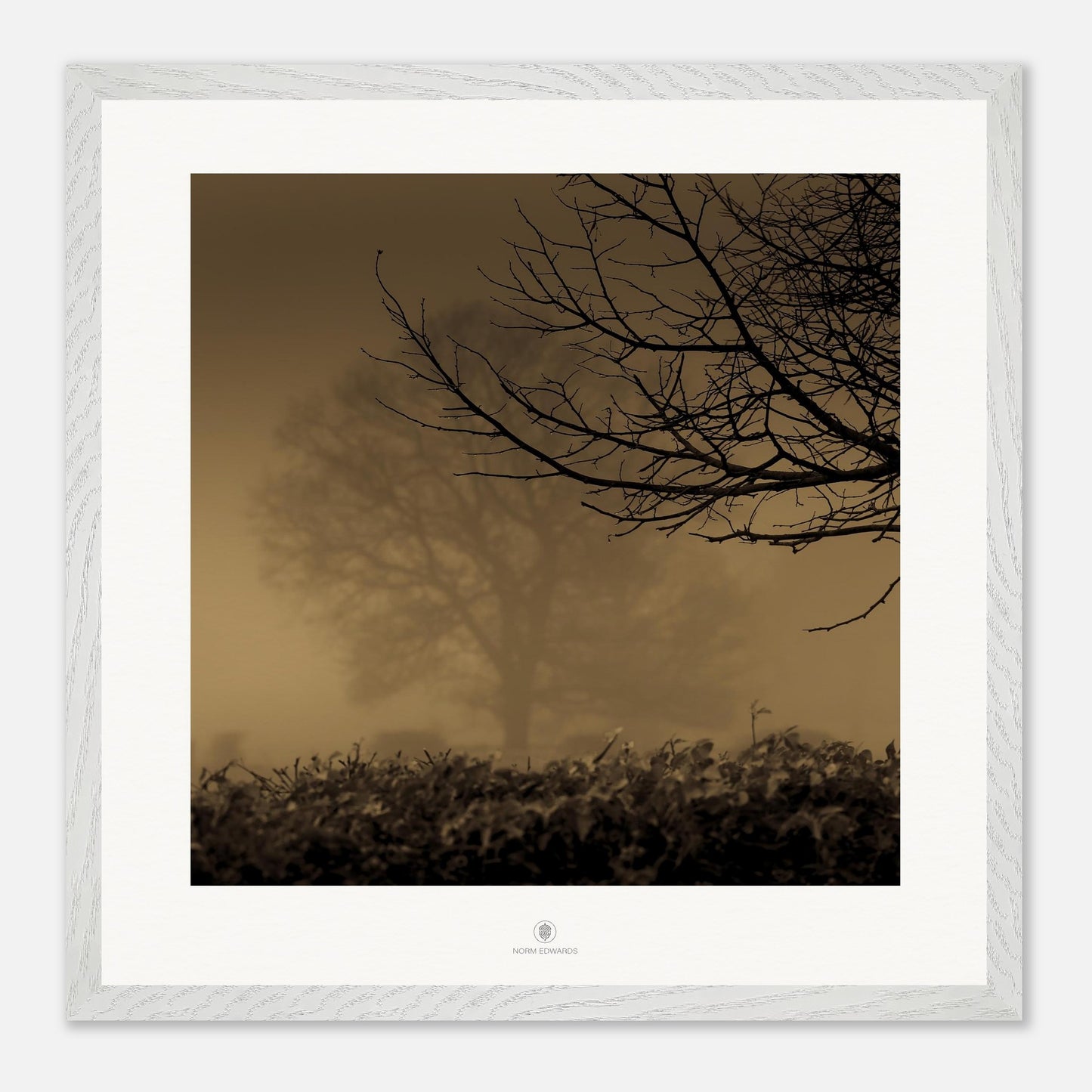 1684e8f4-1c0c-445a-b7bc-e819bcd46ba0