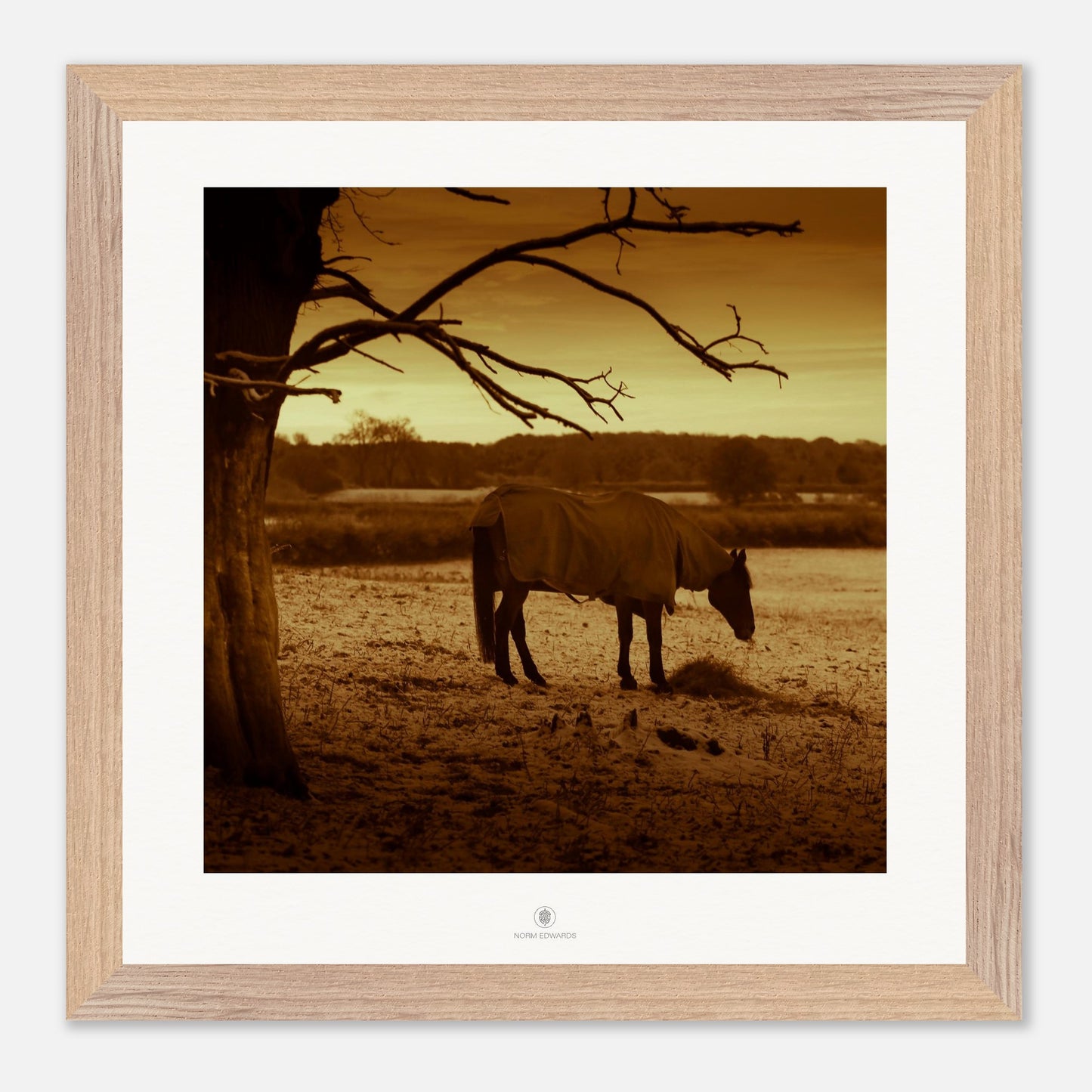 1881d78b-59de-455b-b01c-aa443edc32ad