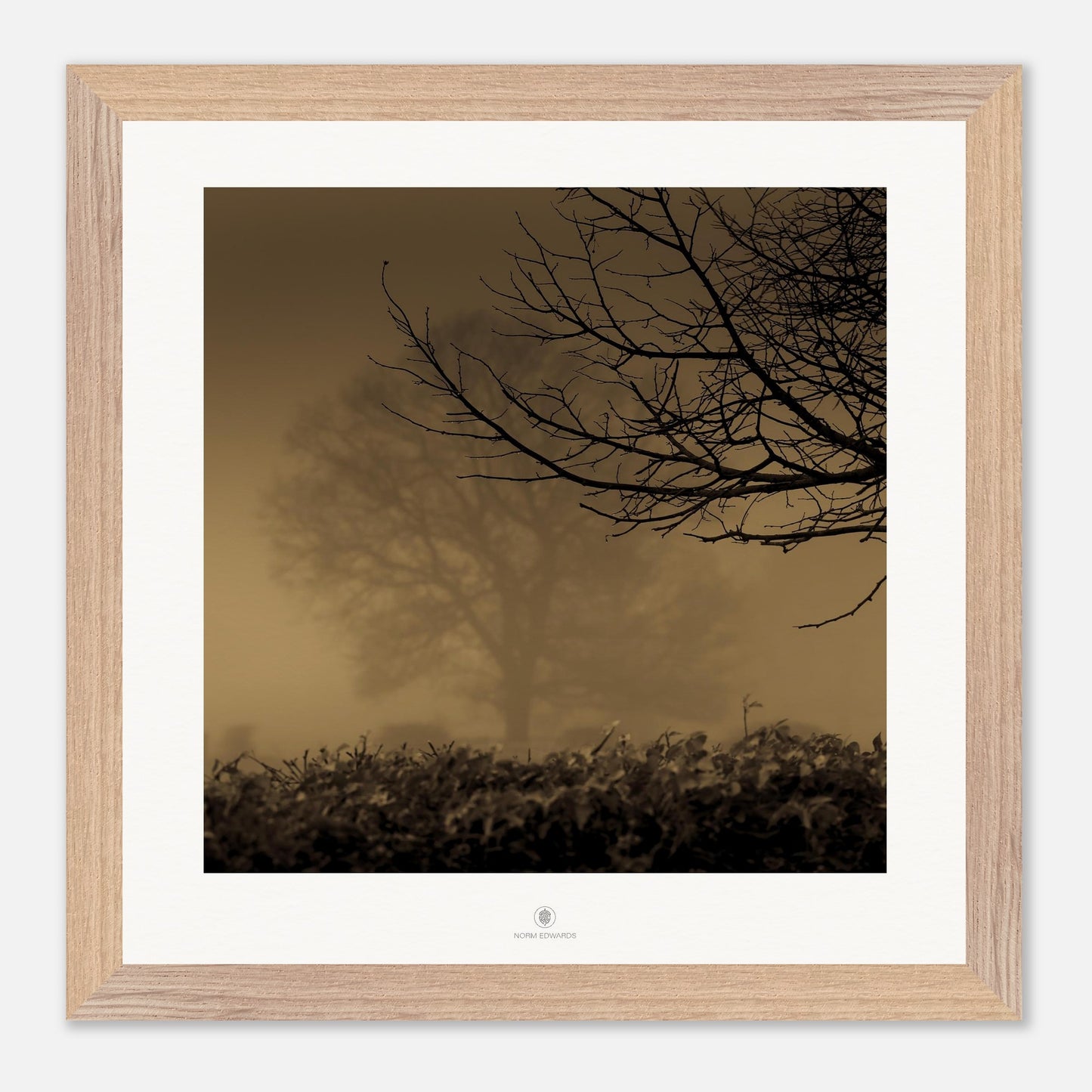 1bda40aa-c8b9-4c0c-bd28-e63ab8262320