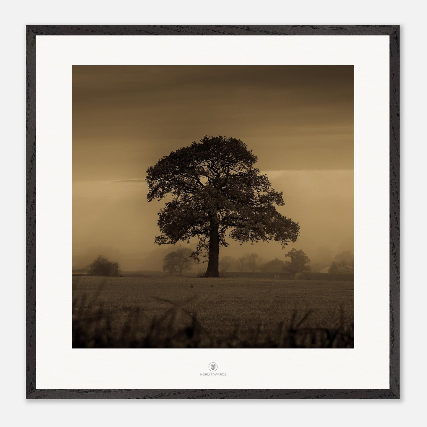 1e1e621d-c8f9-42ff-8efc-6b0795c5bf82