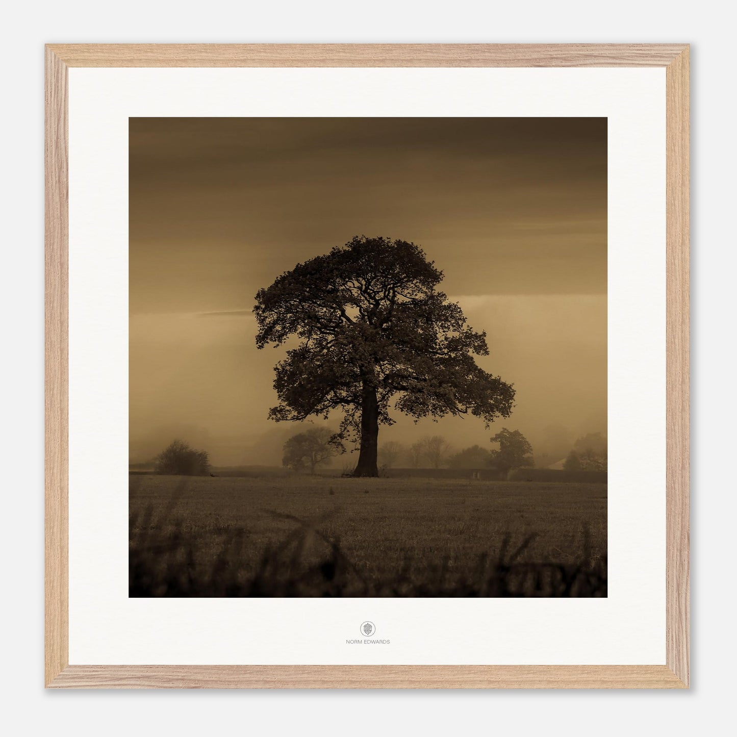 1fdf64dd-93c4-43aa-83d9-999e72650caf