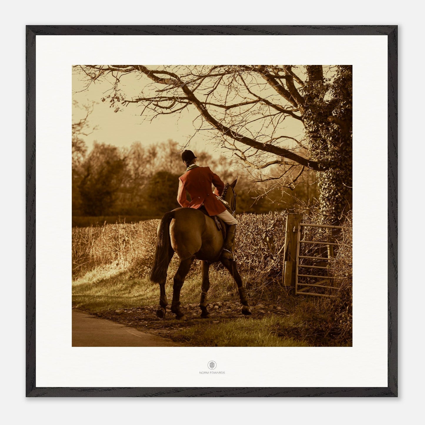 2bf2aaad-e0b8-464e-b3fa-fc7e5a101971