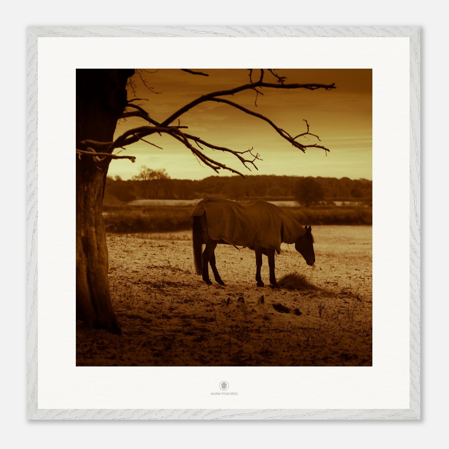 2f2eb0ff-2970-4f20-a3d1-89929cf533ad