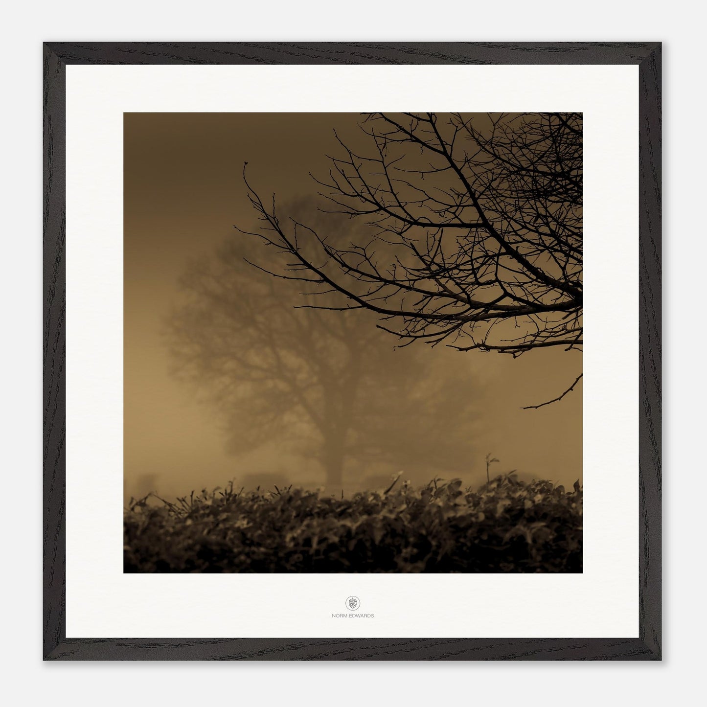 32609f46-b457-4c14-afd2-a34adee3d347