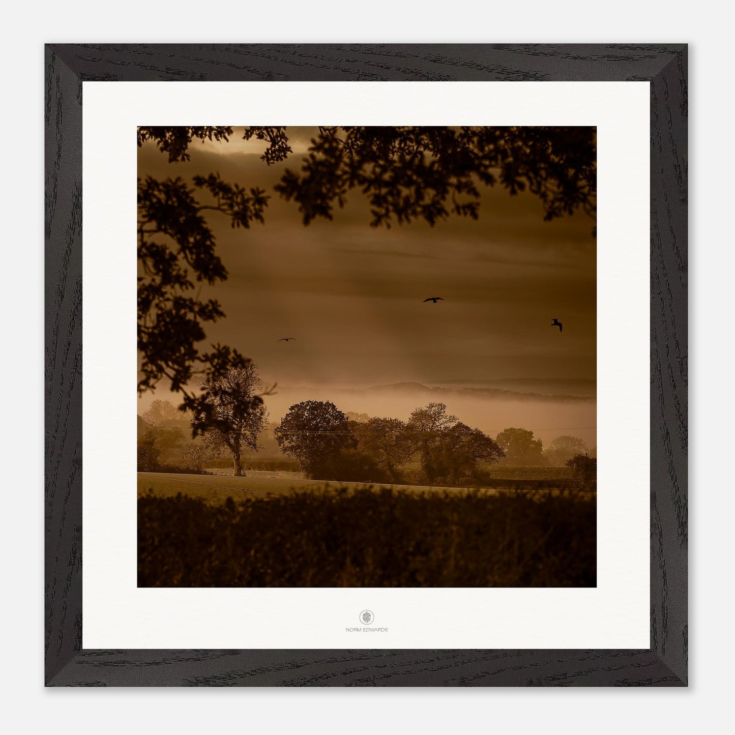 3c2bca53-ac5c-431b-ad55-3ae8b6443239