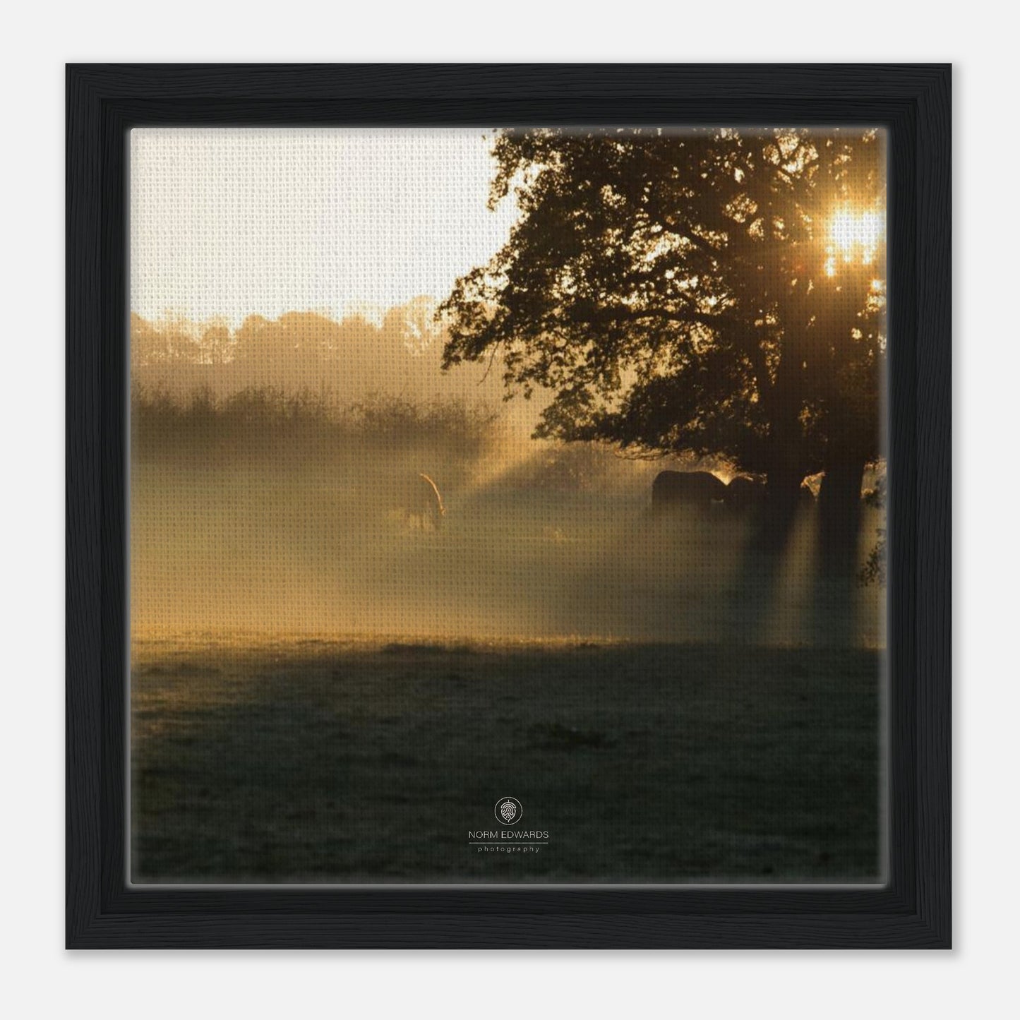 3dd4ac93-5315-4209-81c4-b17c0cf68d1a