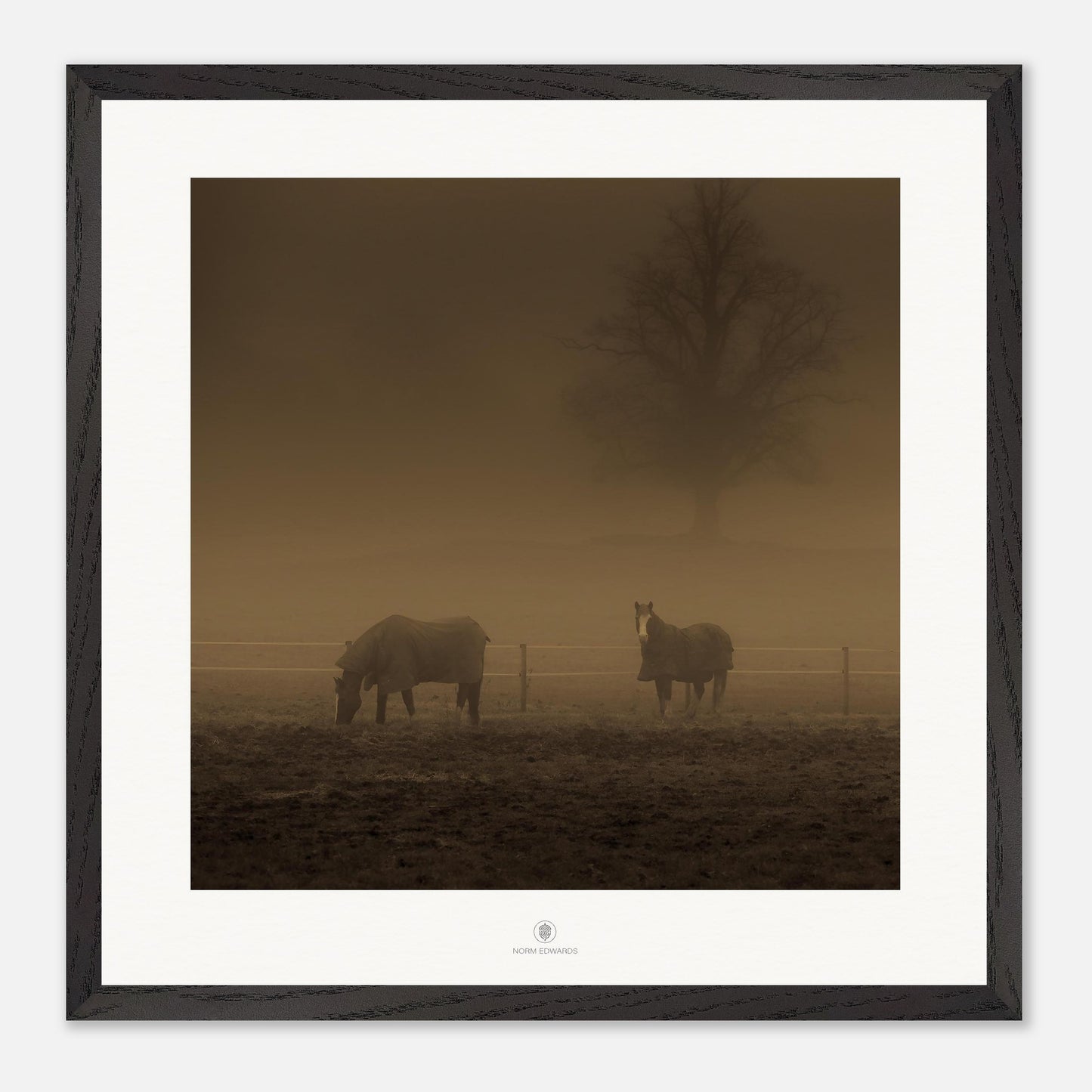 3dd76673-7236-4465-9743-c0031afeea94