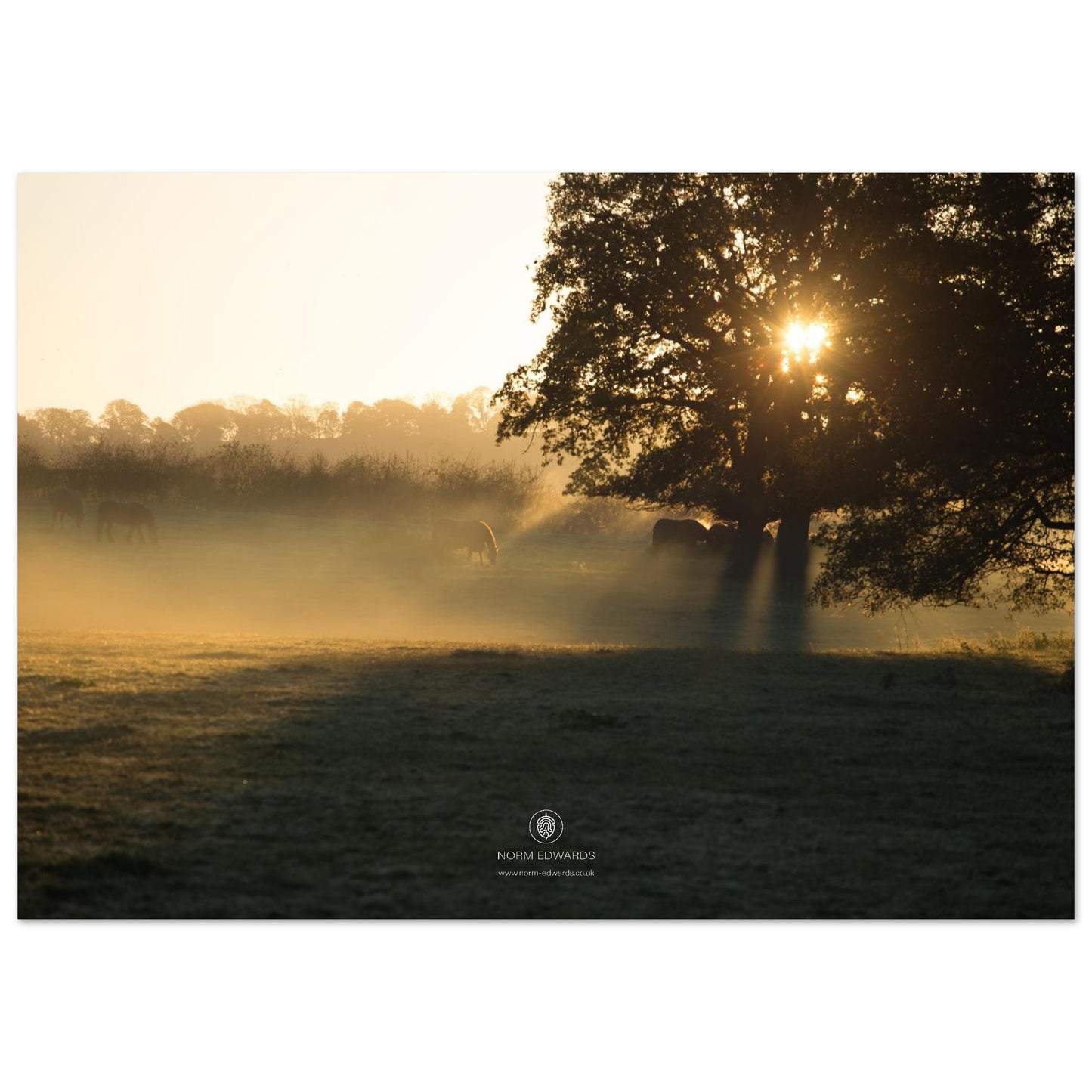 40057519-9c54-4317-8139-dc3f826542c5