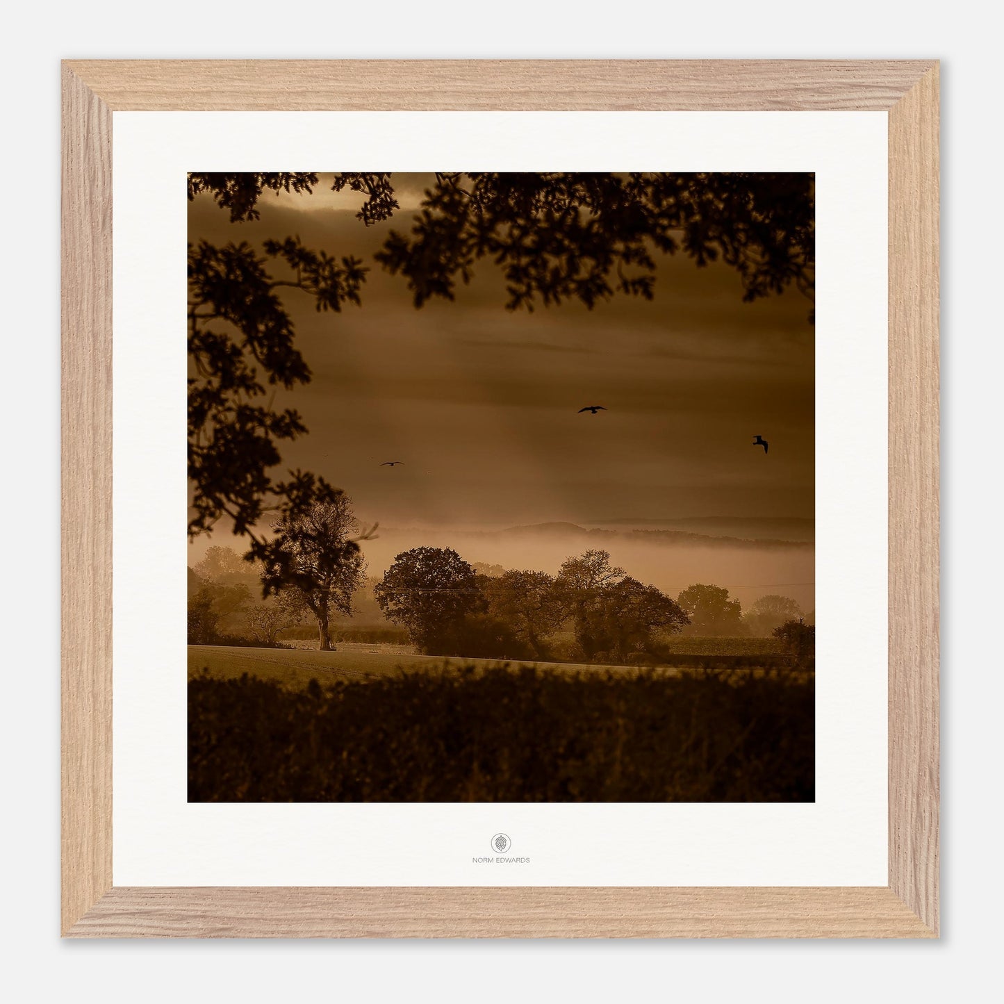 4077b781-d5b5-4cda-bd78-f2030348e582