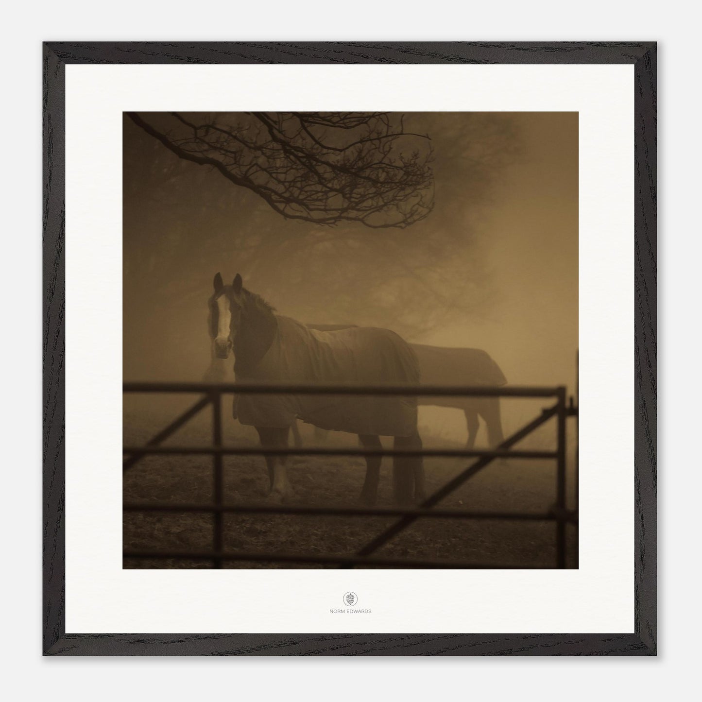 50ed8702-1d01-43a6-b59d-1e0b8fbf3882