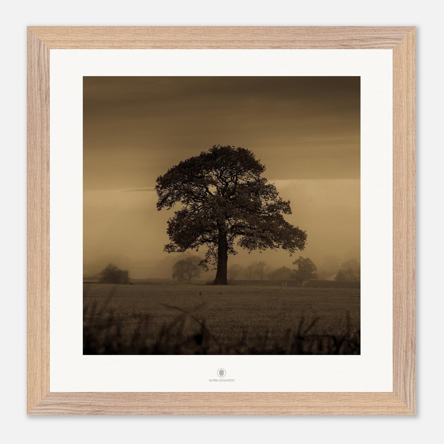 523d2149-b57a-4c42-9463-89a6d2c53344