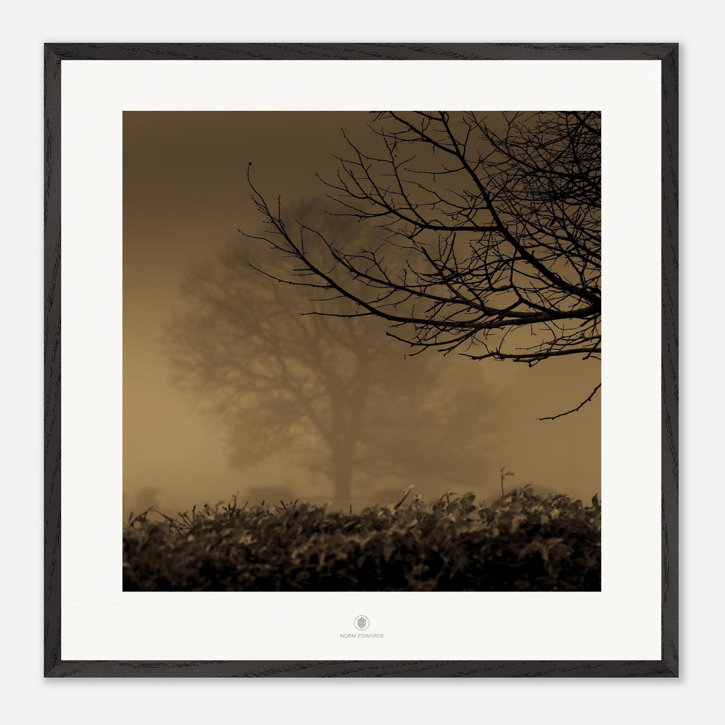 579f3626-5e77-4ce7-a2b1-d5e32a68eb39