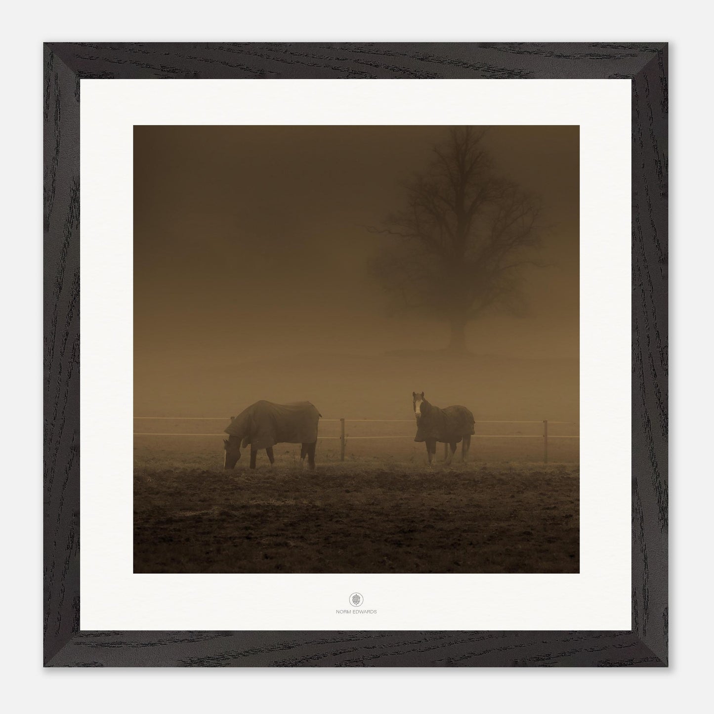 5df47d85-5352-482e-9d02-bbffd38bd219