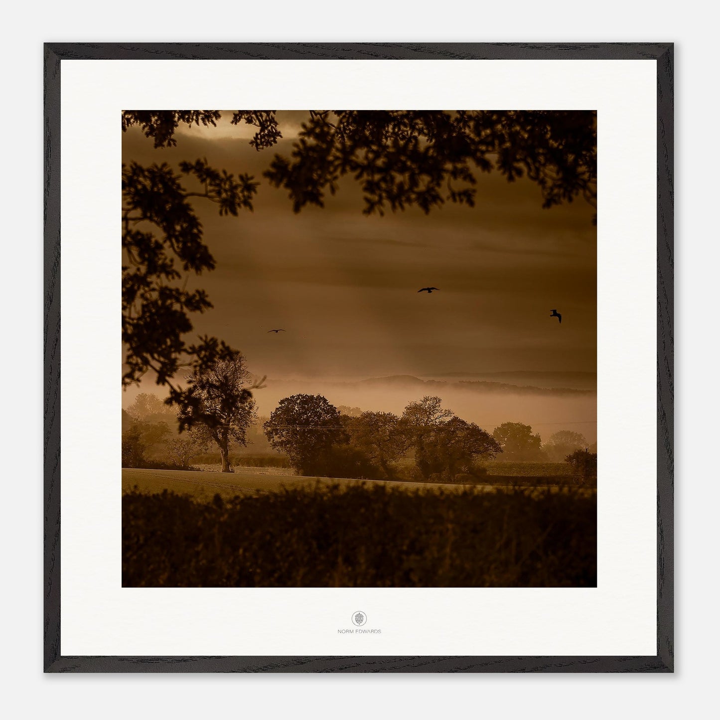 651b8a5c-7b2c-4331-8fc8-fd127eb41933