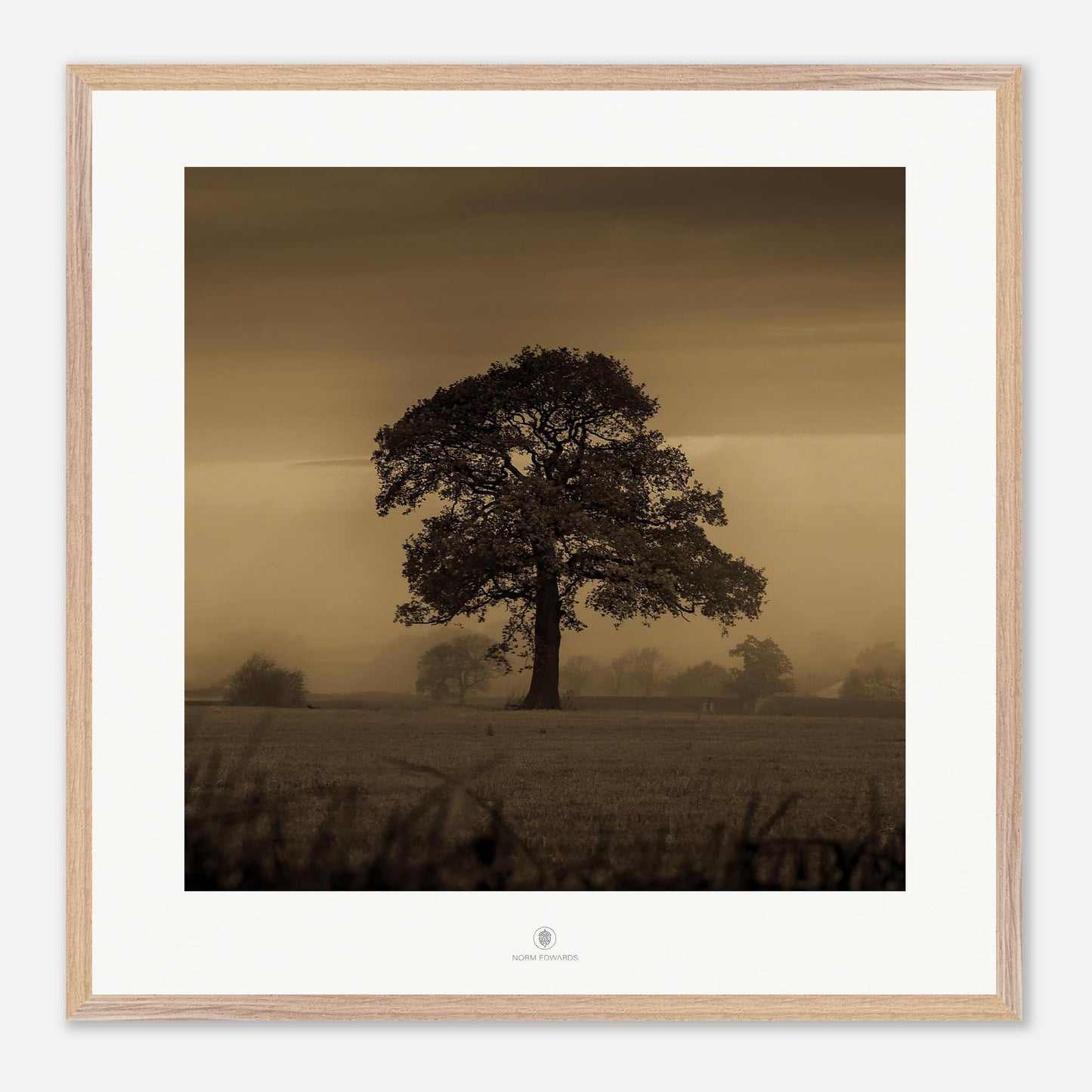 727cea27-ac0c-42a7-9b1a-f6df5fb713ec