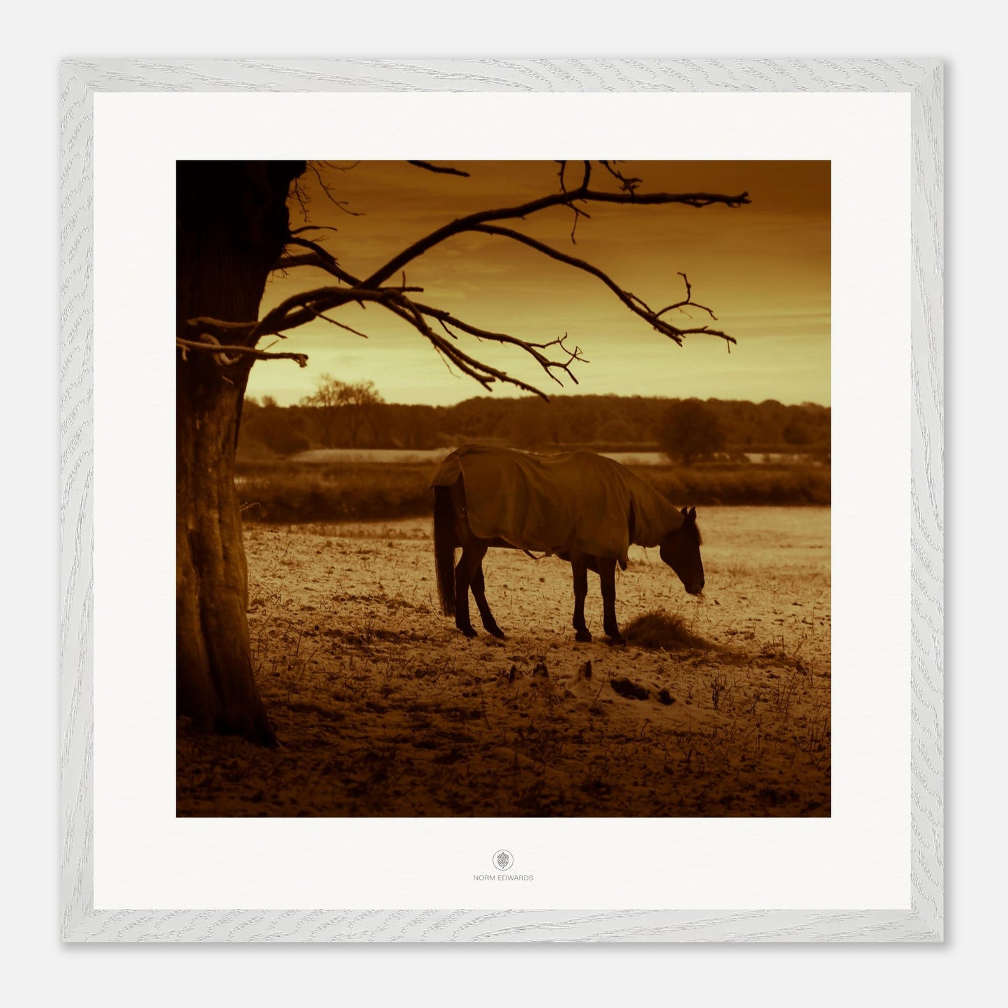 7dd1e355-9835-4e4e-be84-c770c5e1c20b