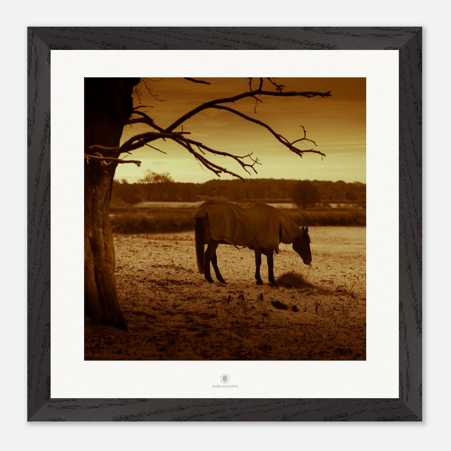 7fbe7dac-d74c-4627-97e1-a4d7c8fbd703