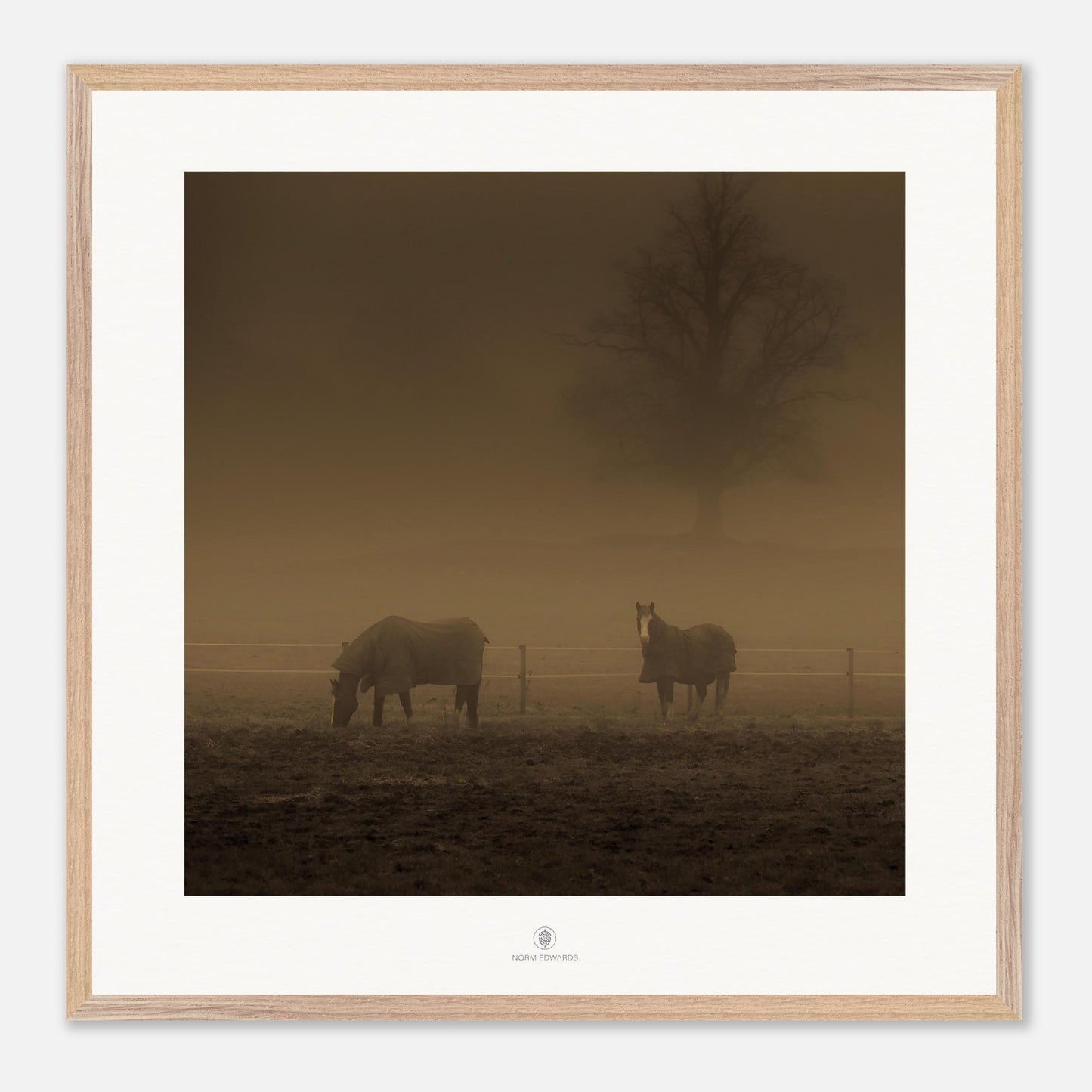 81f91be1-3e9a-49f3-8dbb-36e386b853cb