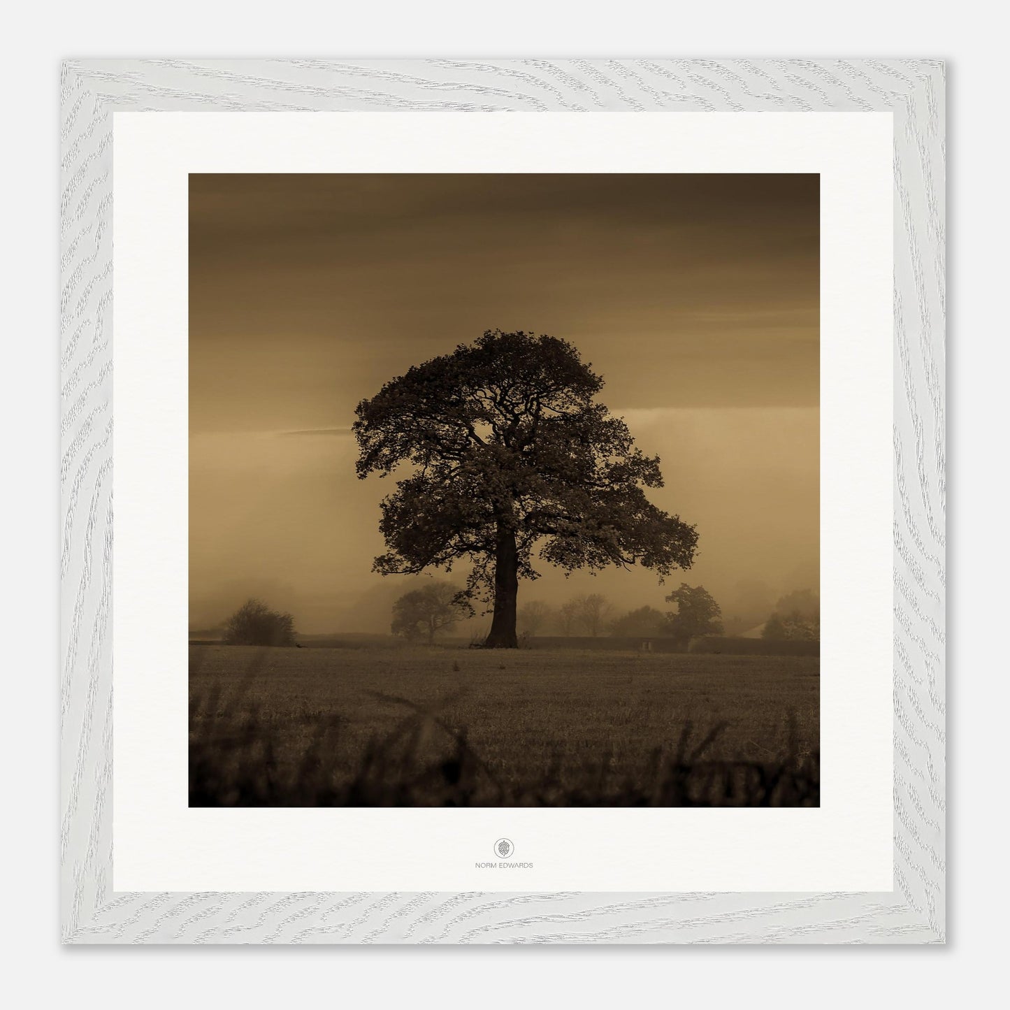 85f80431-dd5f-4a99-ad3e-87536a11ad7d