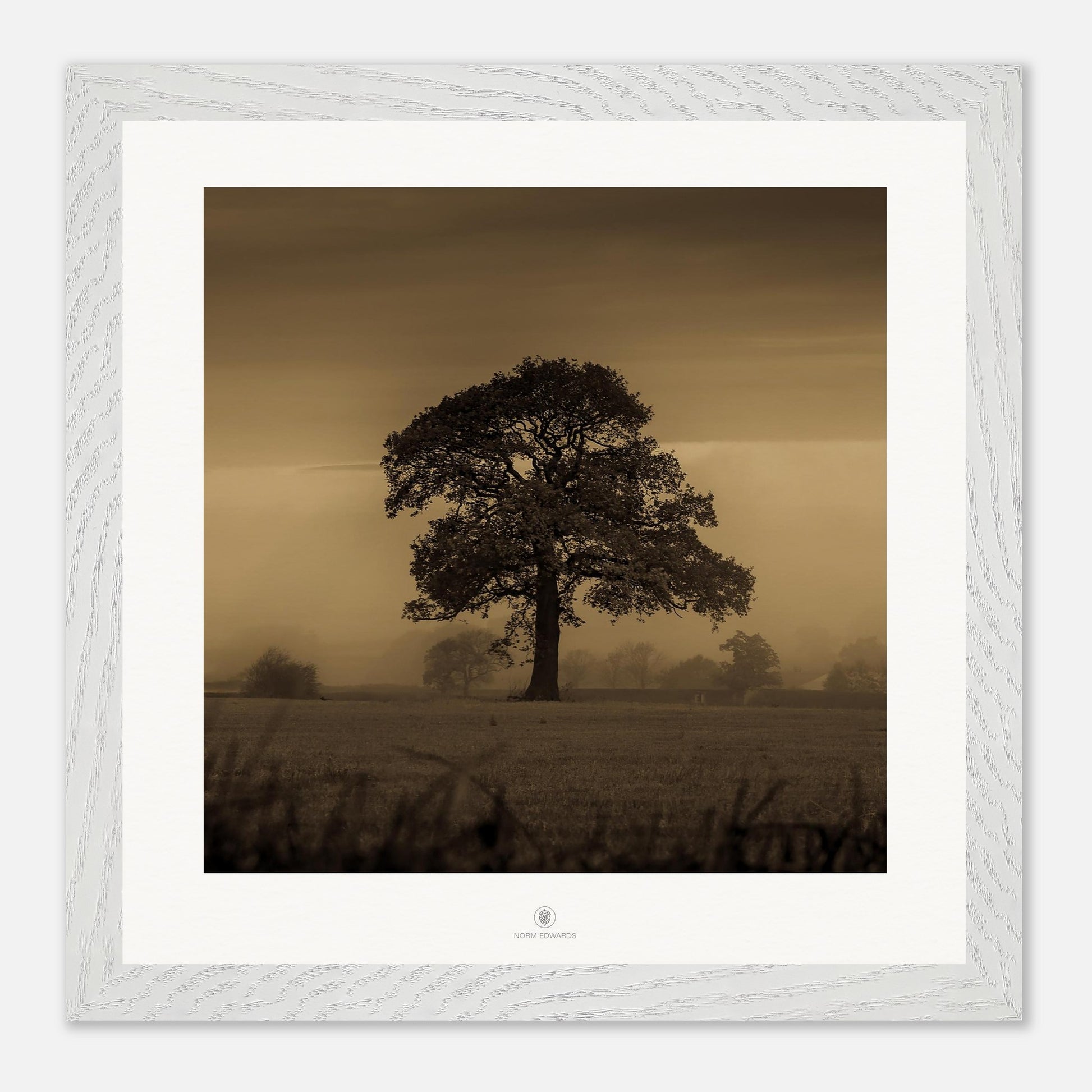 85f80431-dd5f-4a99-ad3e-87536a11ad7d