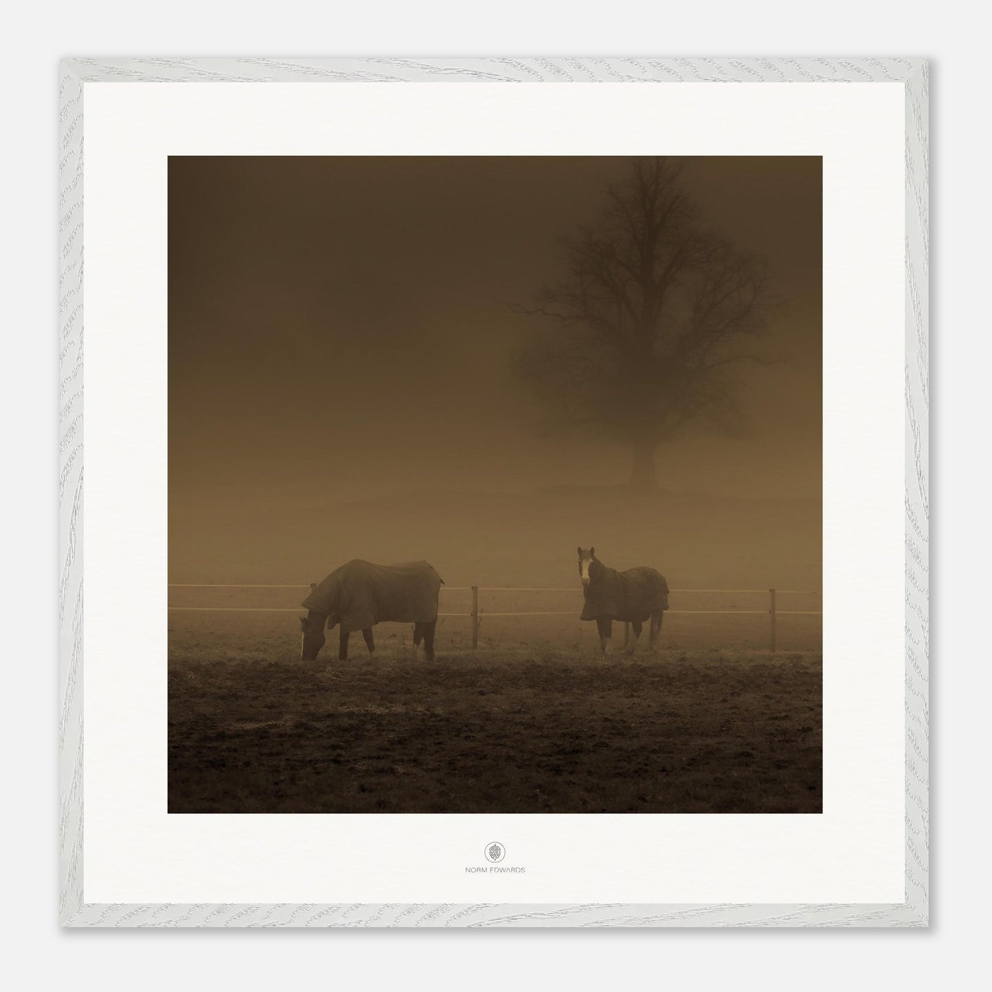 8760ec3b-6b7d-4782-8222-5c54fba59805