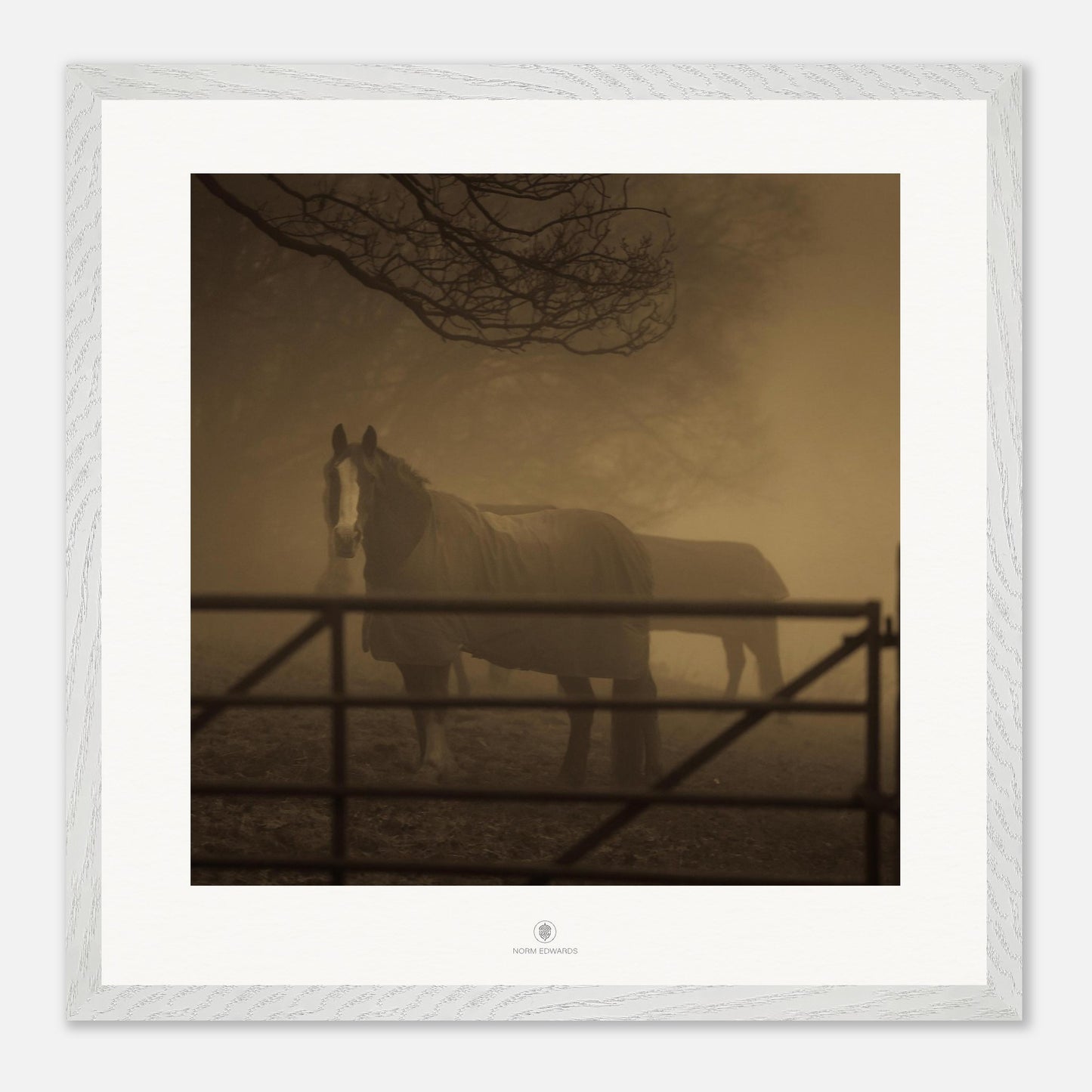 915faf03-703b-425b-a6ac-7353717ab1e9