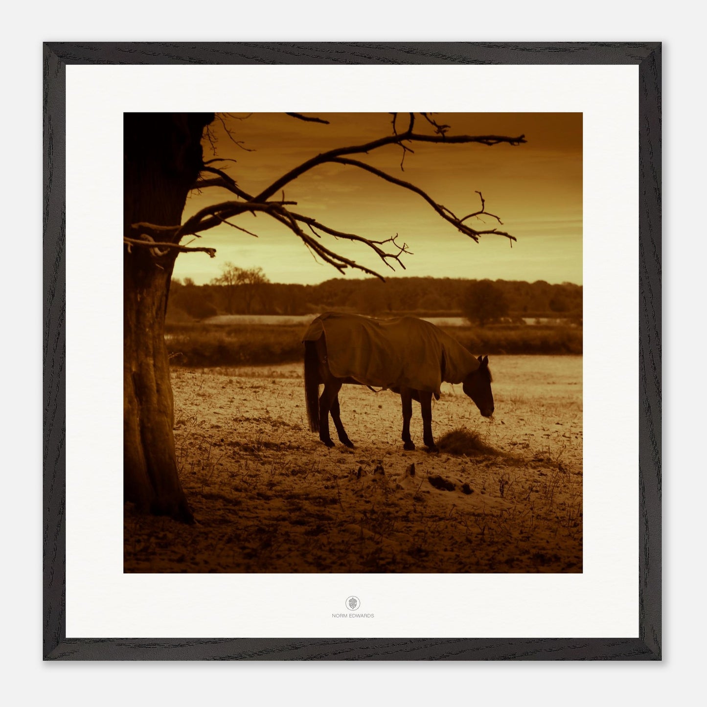 96246b9d-bf46-40b6-b2ef-8e1d179c5797