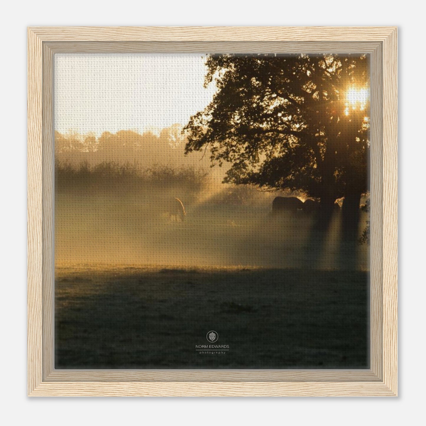 96a516ea-ecd5-4f25-98a5-193d877037e2