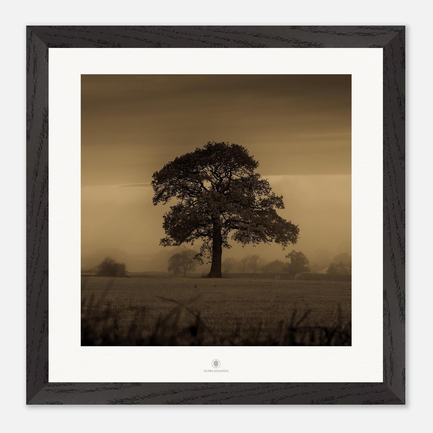 9a931b14-bfcf-4734-b78a-75d5cd24646e