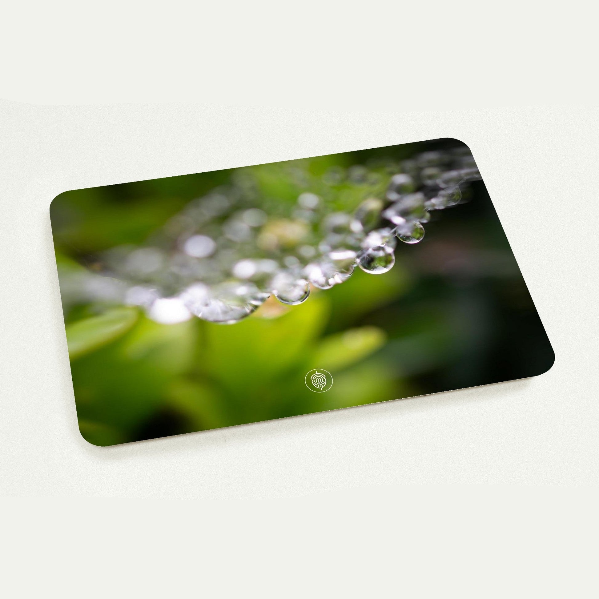 9d9e995e-4b6c-47e6-9513-fd9195f6e7b7