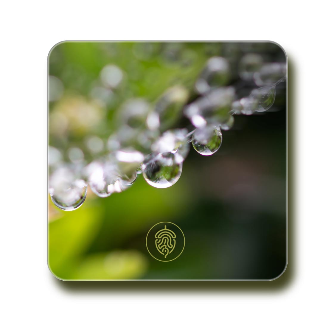 Coaster - Nature's Necklace