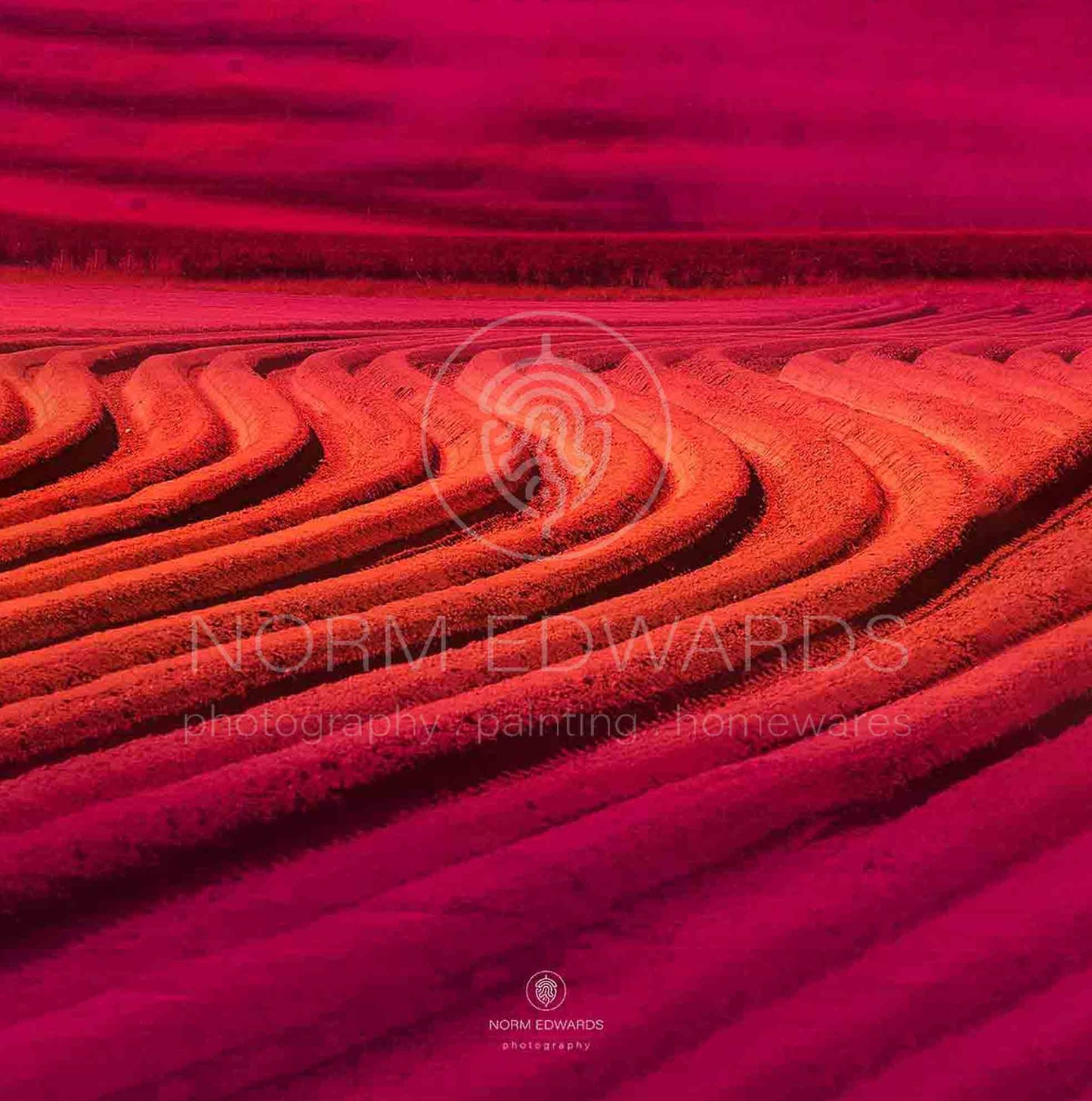 Ploughed Field