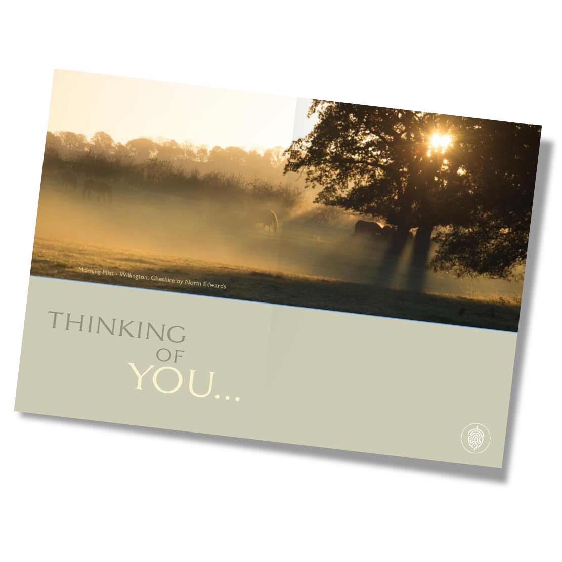 Tarporley High Street Pack of 10 Greeting Cards