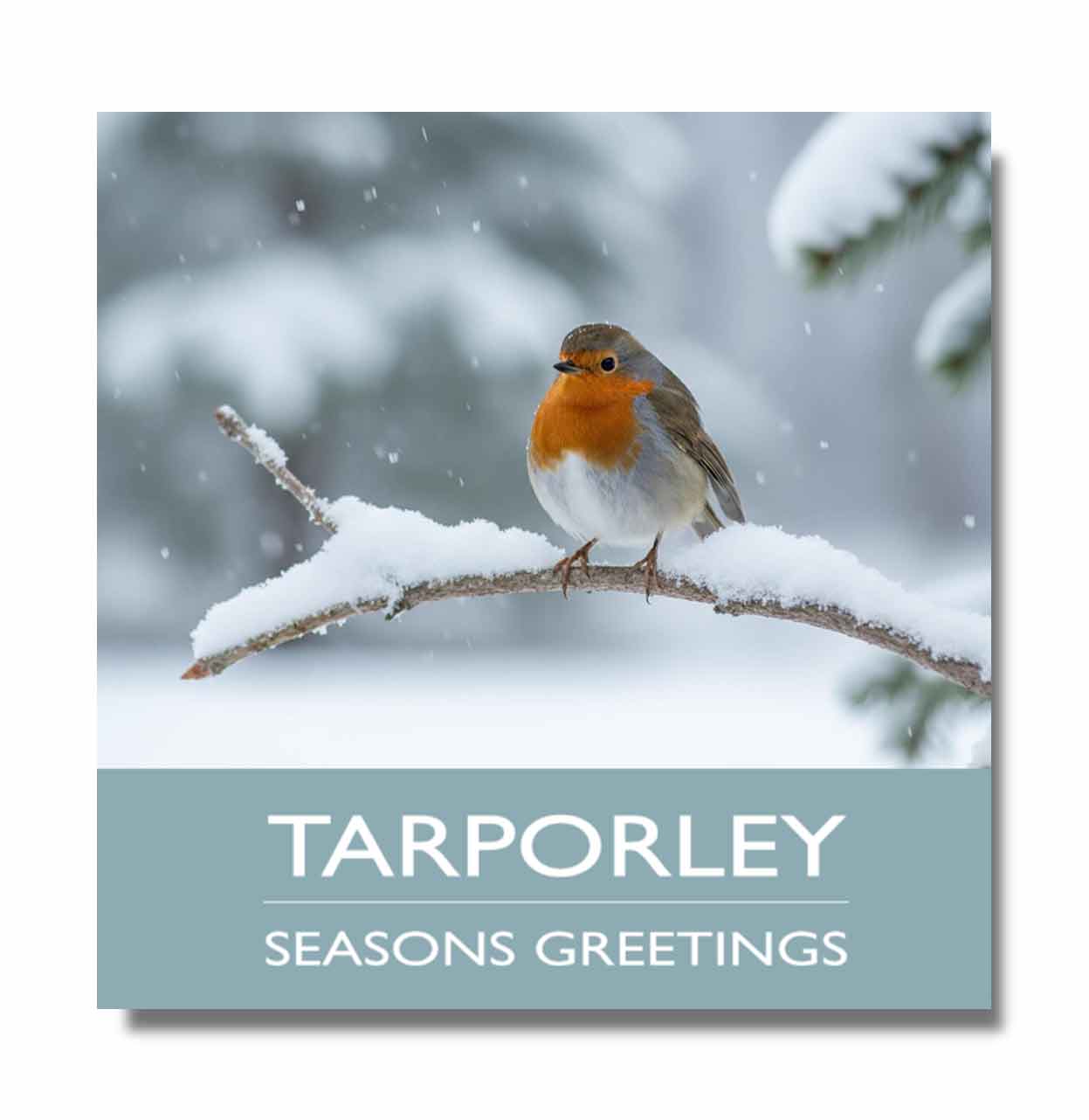 Tarporley Christmas Card - Pack of 10