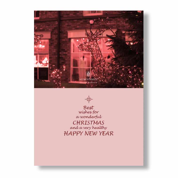 Tarporley Christmas Cards - Pack of 10