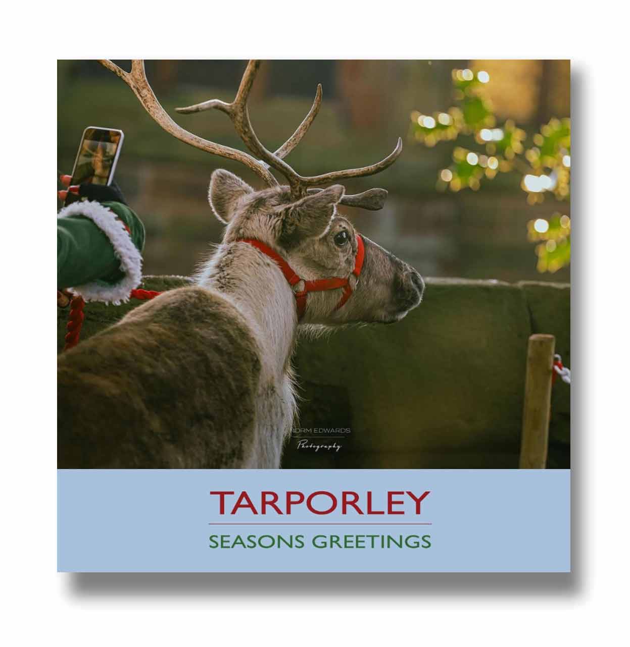 Tarporley Reindeer Christmas Card - Pack of 10